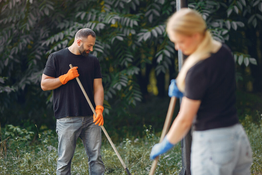 garden prep