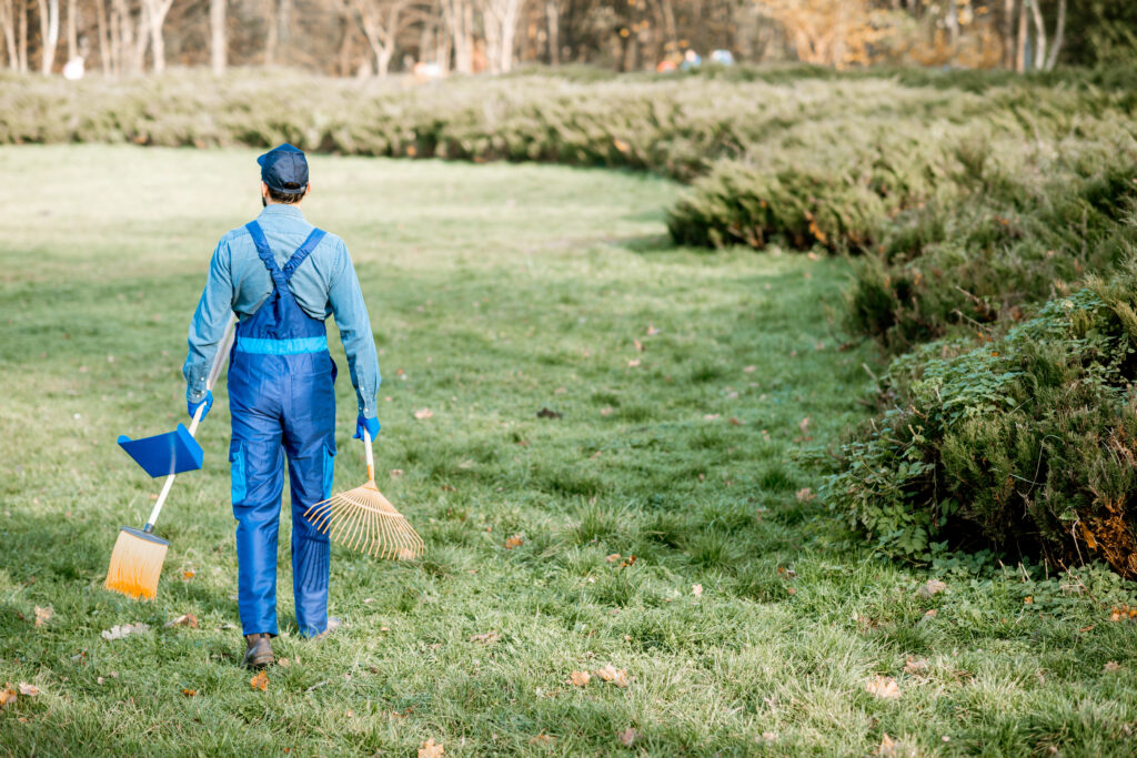 garden prep