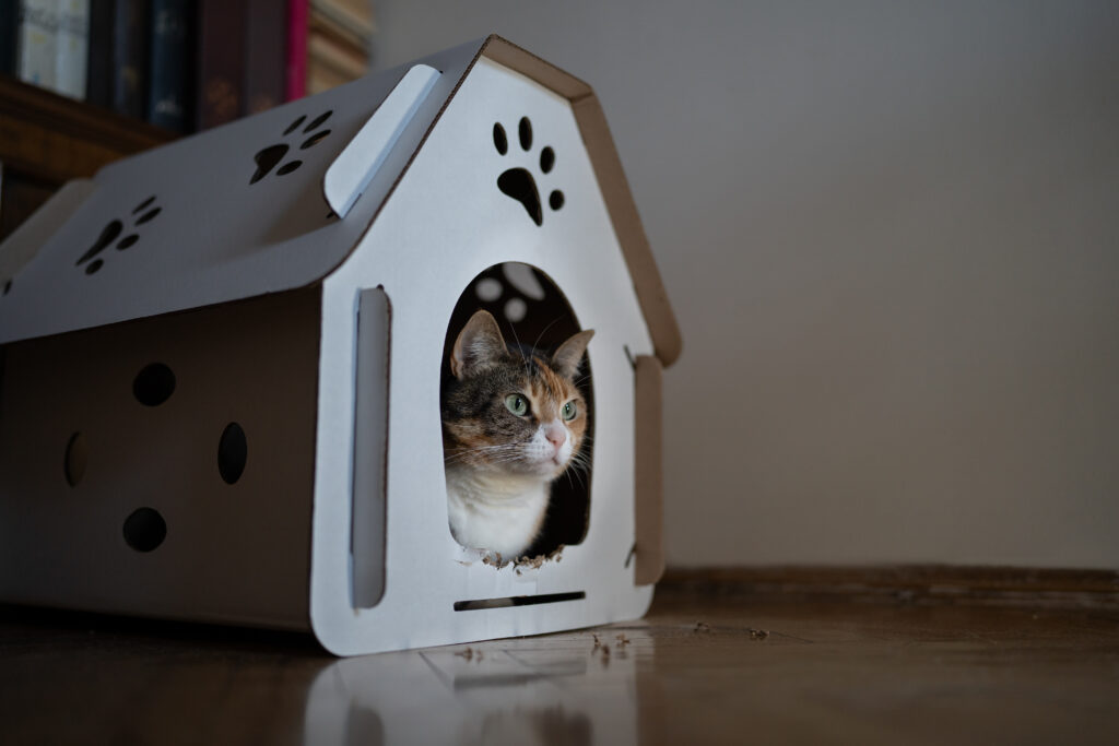 pet-friendly