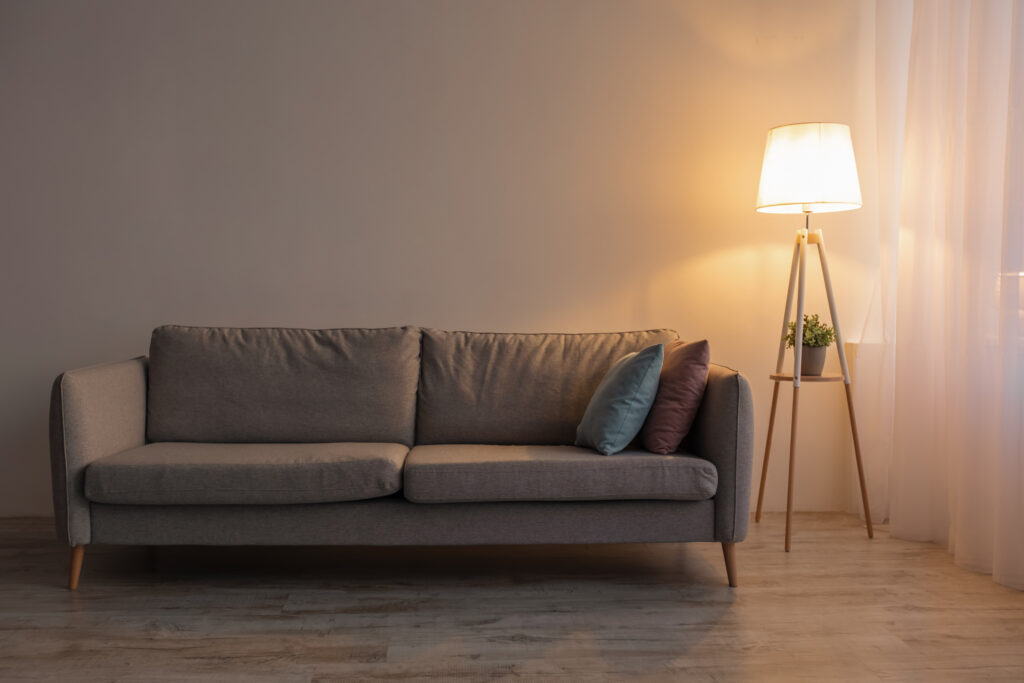 Minimalist living room with a gray sofa and a warm floor lamp.