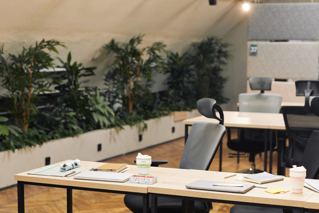 Modern office workspace with ergonomic chairs and greenery.