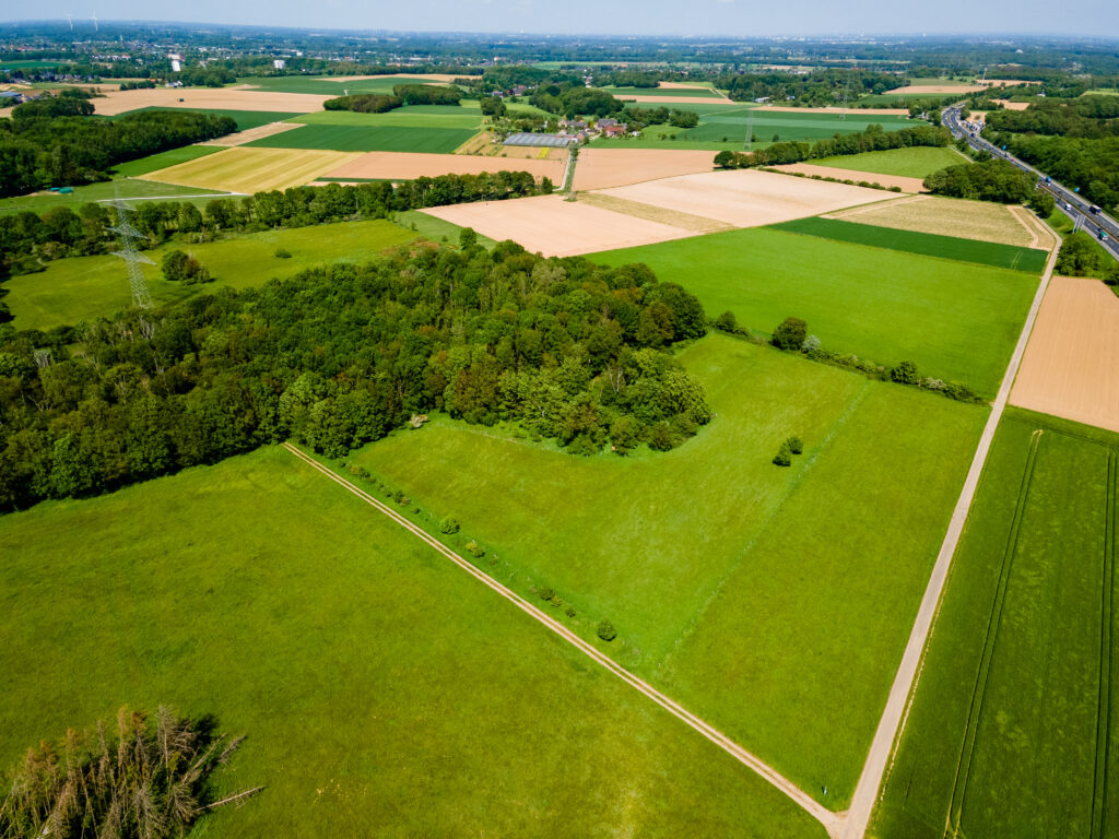 large landscapes