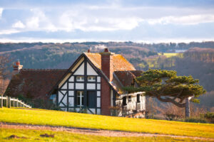 the rustic