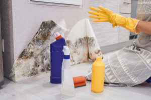 mold control
