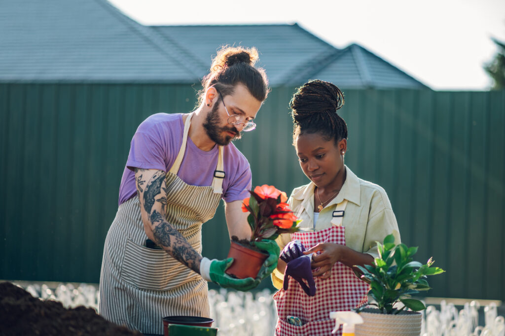 garden prep