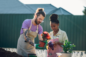 garden prep