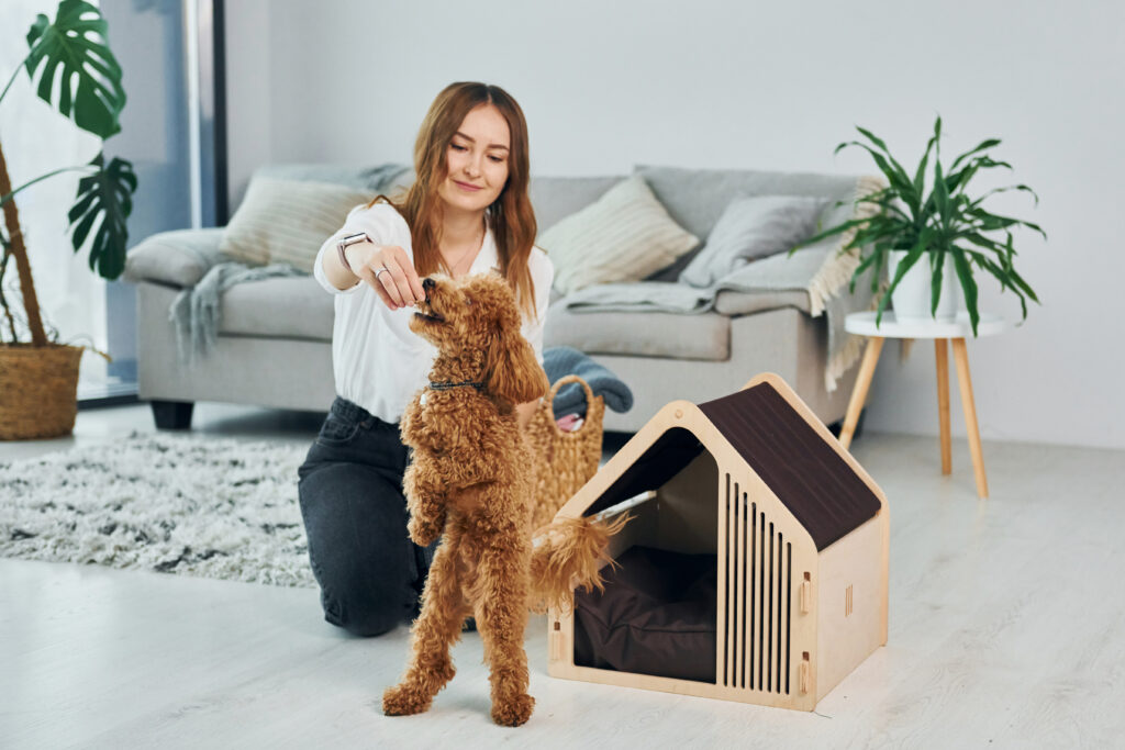 pet-friendly