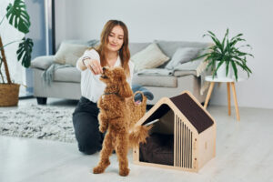 pet-friendly