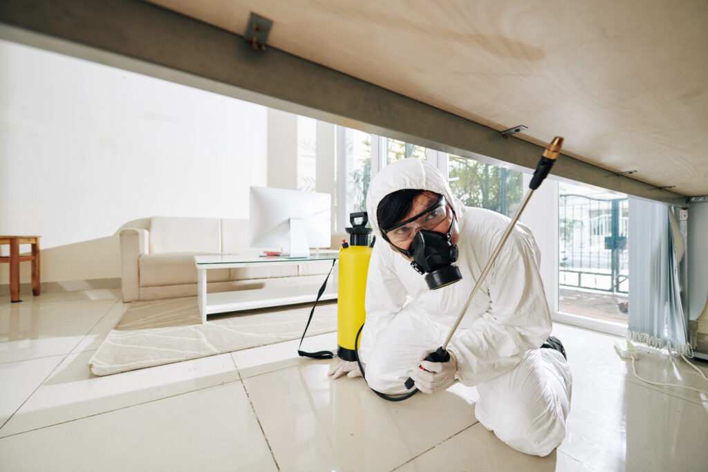 regular pest control