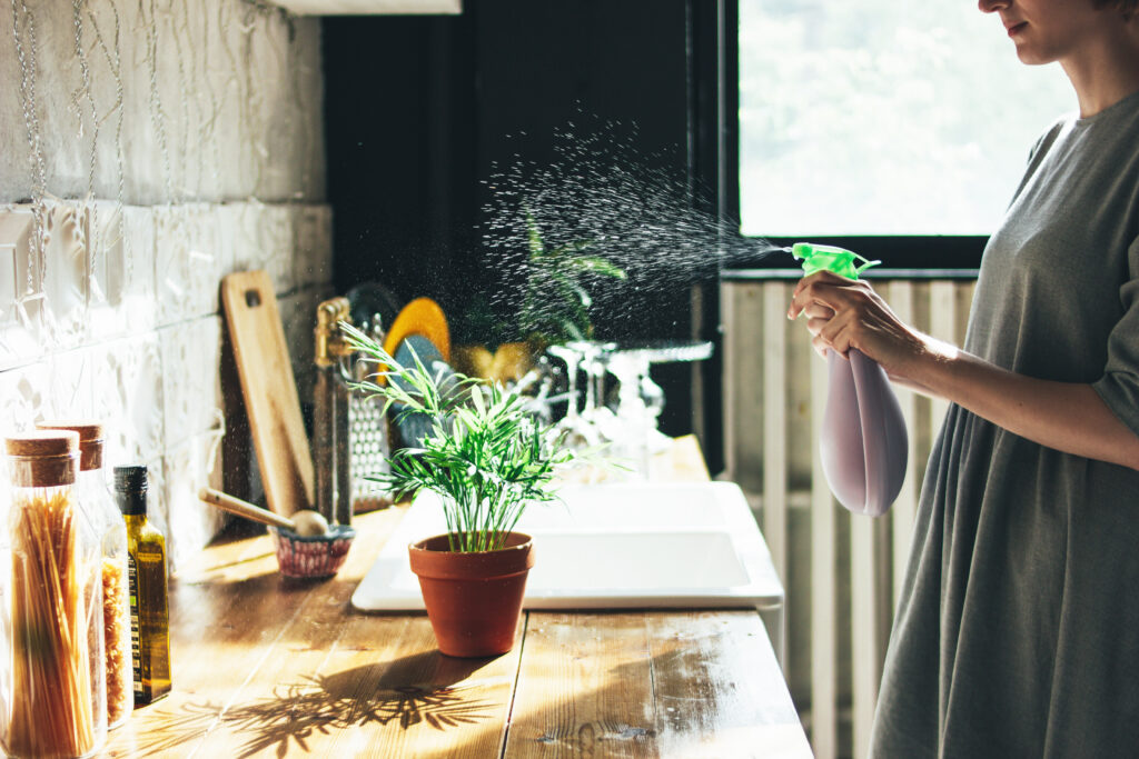 household odors